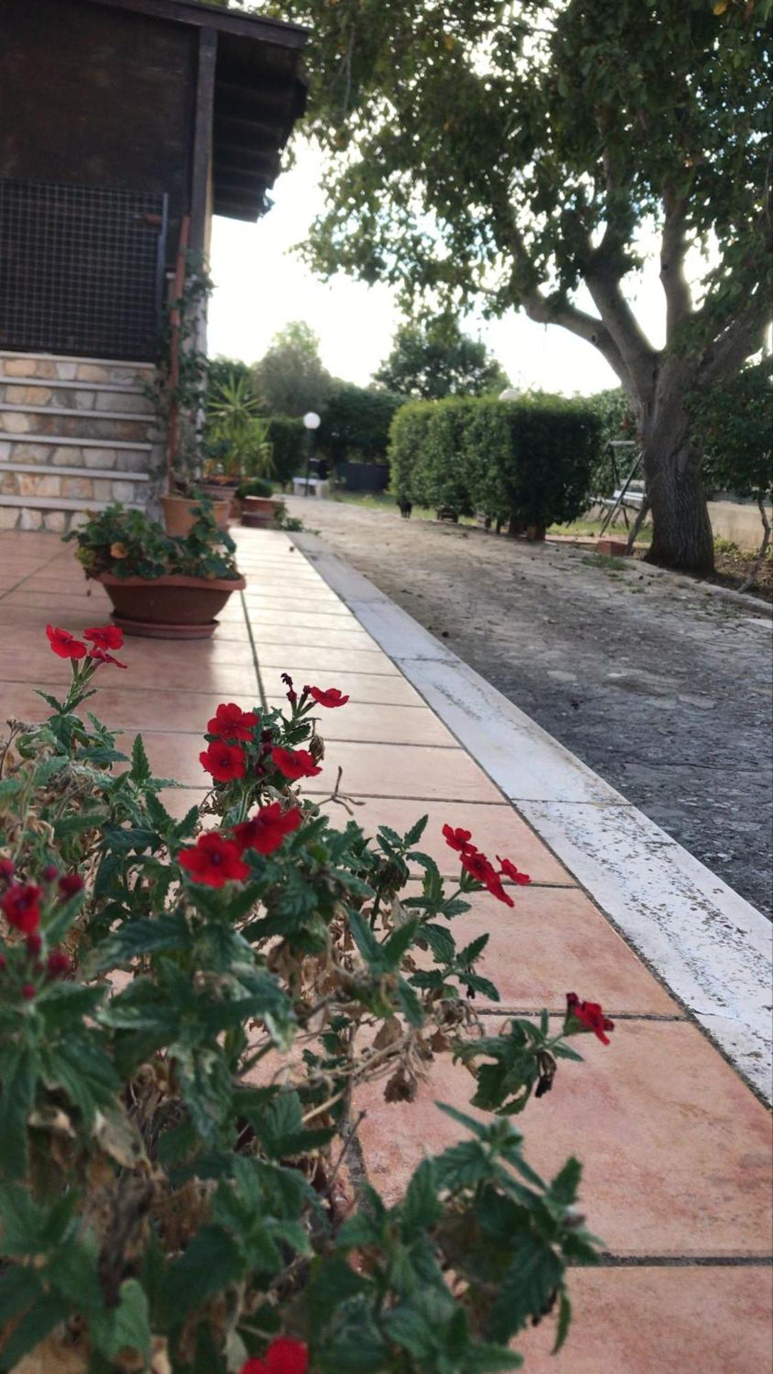 Villa Marida Gioia Del Colle Eksteriør bilde