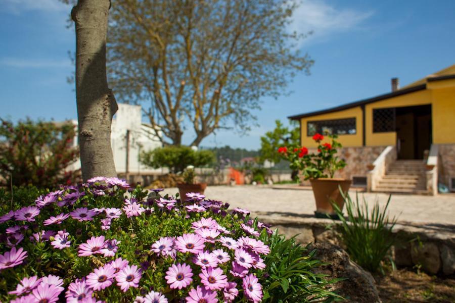Villa Marida Gioia Del Colle Eksteriør bilde